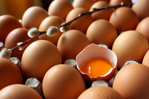 Ціною по яйцях: основні тенденції яєчного птахівництва – коментар Олександра Ткачова, начальника відділу аналізу ринків компанії Pro-Consulting. Agrovery